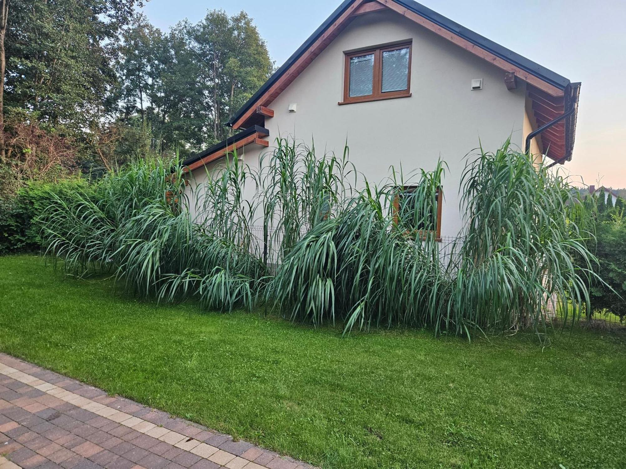 Villa Osada Cztery Pory Roku - Dom Jesien Kopalino Exterior foto